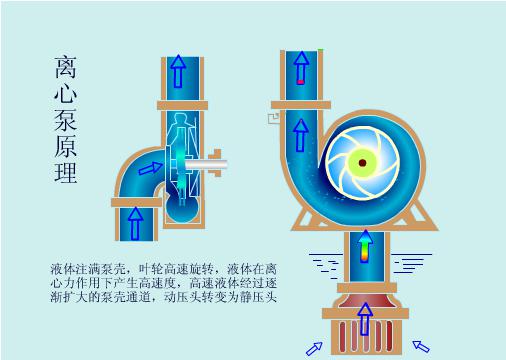 1445224700804769.jpg 離心泵原理.jpg
