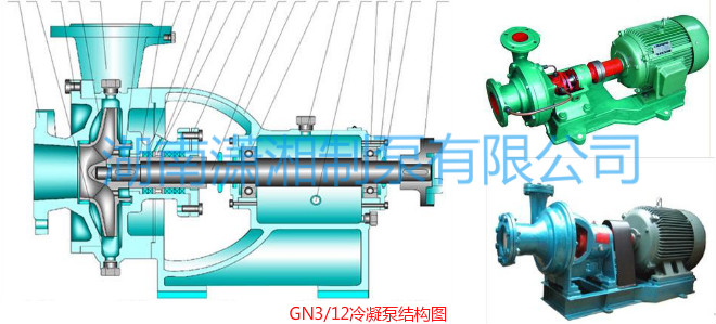 1615871826232844.png GN3冷凝水泵.png